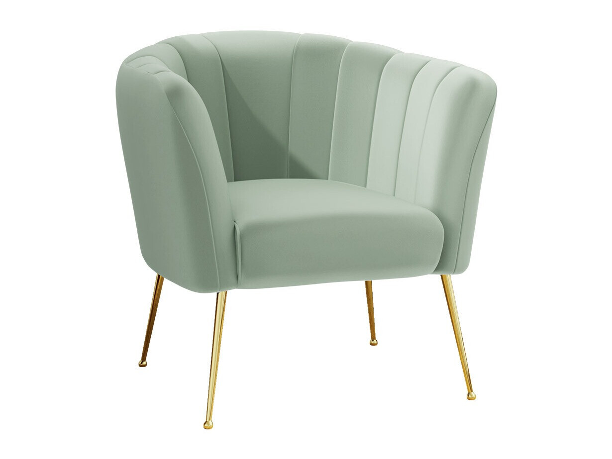 Fauteuil Orem 112 (Magic Velvet 2227)