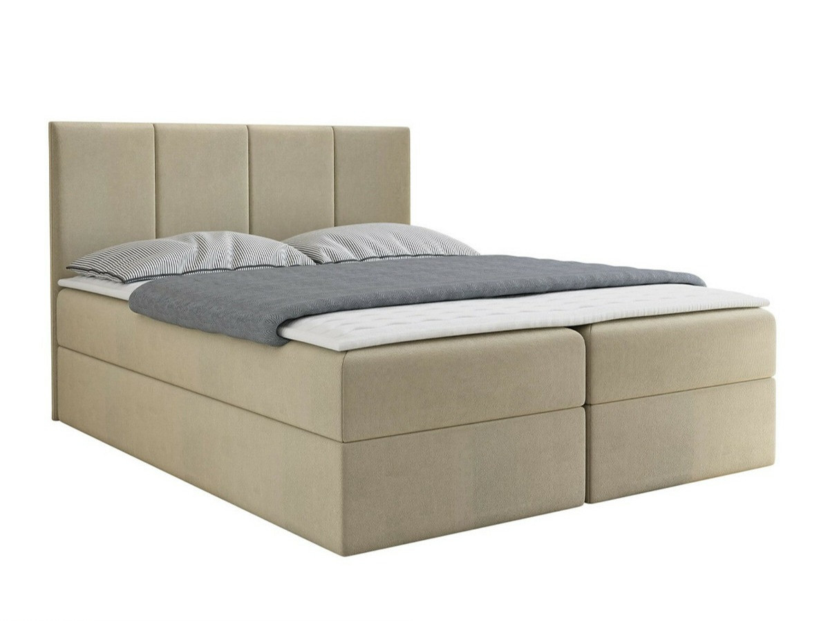 Boxspring Oppidum (Manila 02)