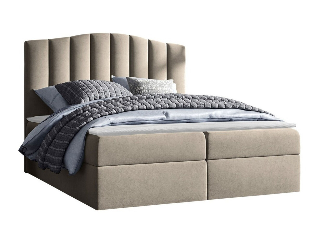 Boxspring Cantus (Casablanca 2303)