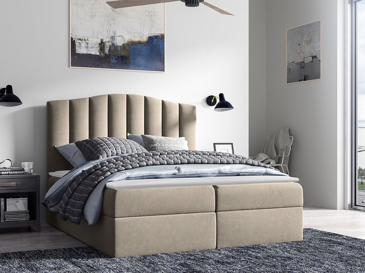 Boxspring Cantus (Casablanca 2303)