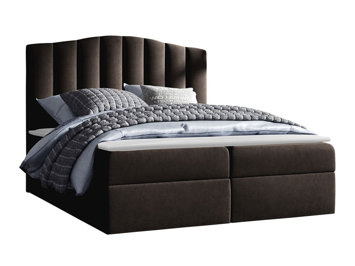 Boxspring Cantus (Casablanca 2308)